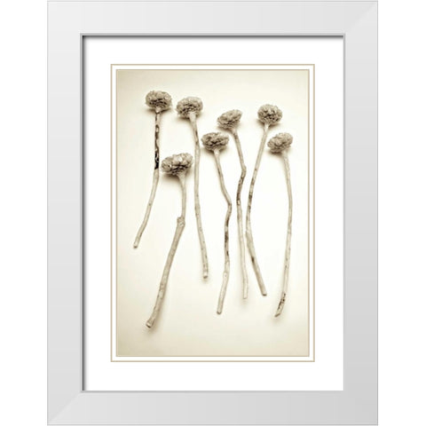 Garden Bloom - 17 White Modern Wood Framed Art Print with Double Matting by Blaustein, Alan