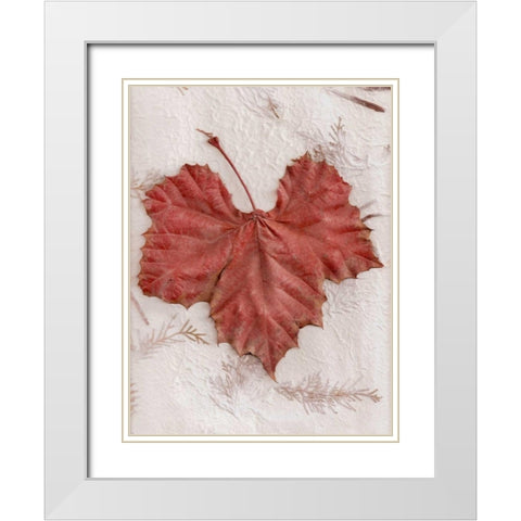Floral - 31 White Modern Wood Framed Art Print with Double Matting by Blaustein, Alan