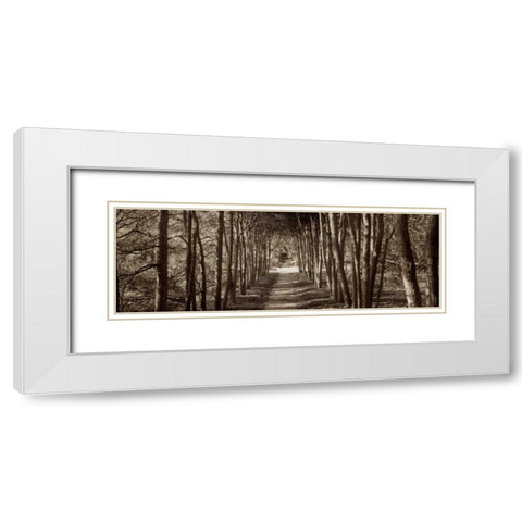 Hampton Gates Promenade - 2 White Modern Wood Framed Art Print with Double Matting by Blaustein, Alan