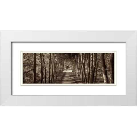 Hampton Gates Promenade - 2 White Modern Wood Framed Art Print with Double Matting by Blaustein, Alan