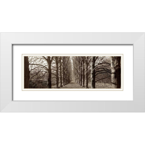 Hampton Gates Promenade - 1 White Modern Wood Framed Art Print with Double Matting by Blaustein, Alan