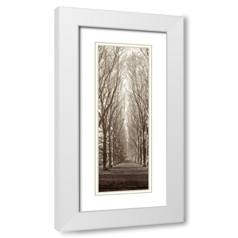 Hampton Gates Promenade White Modern Wood Framed Art Print with Double Matting by Blaustein, Alan