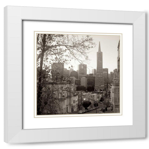 SF Skyline - 3 White Modern Wood Framed Art Print with Double Matting by Blaustein, Alan