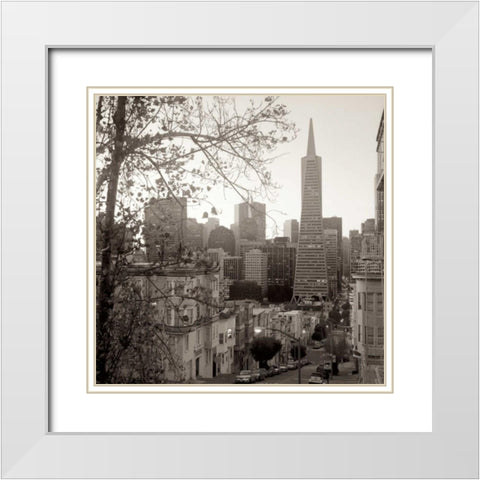 SF Skyline - 3 White Modern Wood Framed Art Print with Double Matting by Blaustein, Alan