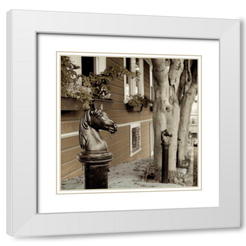 Hitching Post - 5 White Modern Wood Framed Art Print with Double Matting by Blaustein, Alan