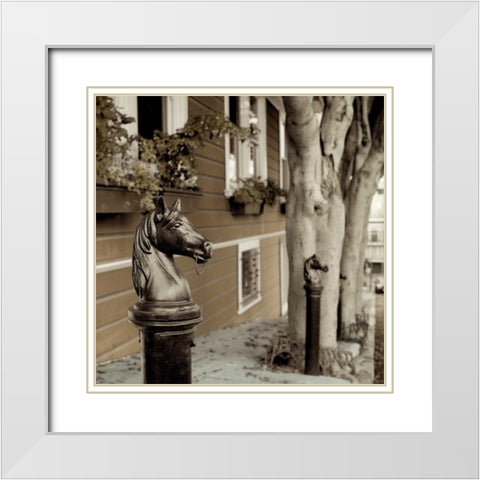 Hitching Post - 5 White Modern Wood Framed Art Print with Double Matting by Blaustein, Alan