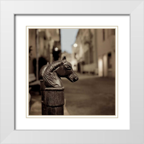 Hitching Post - 4 White Modern Wood Framed Art Print with Double Matting by Blaustein, Alan