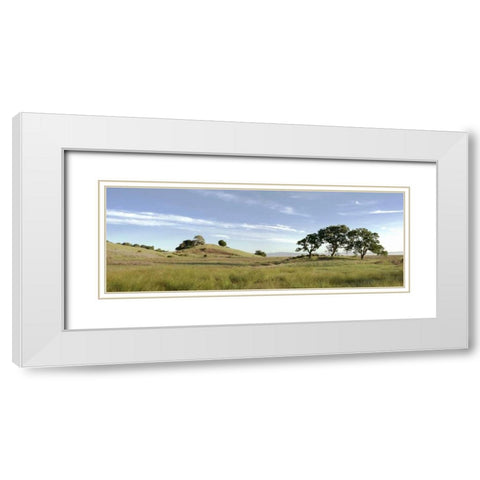 Oak Tree - 82 White Modern Wood Framed Art Print with Double Matting by Blaustein, Alan