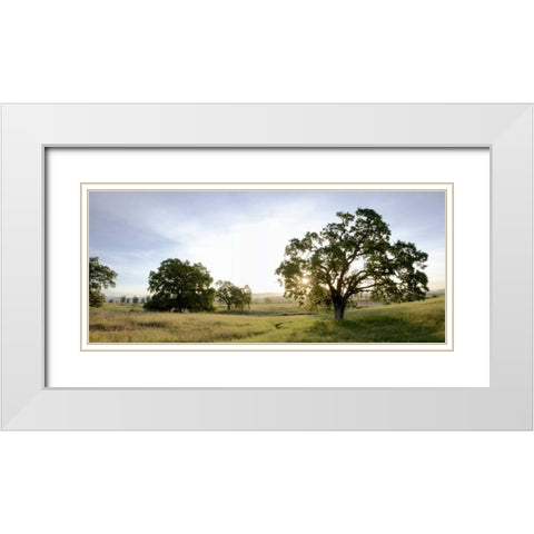 Oak Tree Pano - 98 White Modern Wood Framed Art Print with Double Matting by Blaustein, Alan