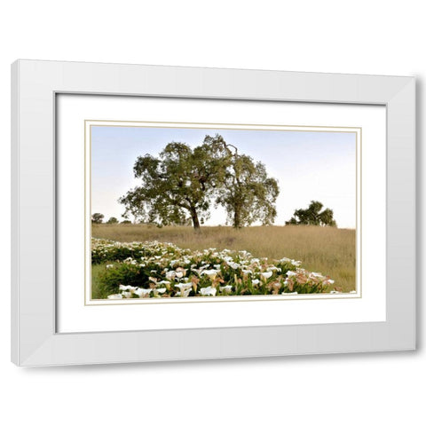 Oak Tree - 94 White Modern Wood Framed Art Print with Double Matting by Blaustein, Alan