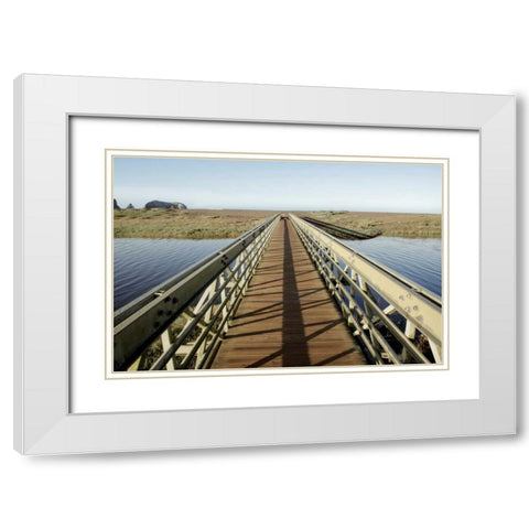 Lagoon Bridge - 2 White Modern Wood Framed Art Print with Double Matting by Blaustein, Alan