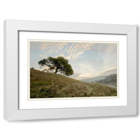 Oak Tree - 11 White Modern Wood Framed Art Print with Double Matting by Blaustein, Alan