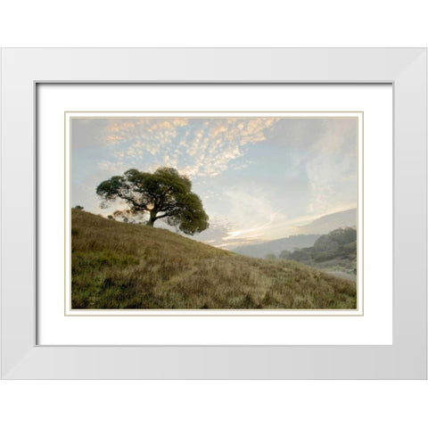 Oak Tree - 11 White Modern Wood Framed Art Print with Double Matting by Blaustein, Alan