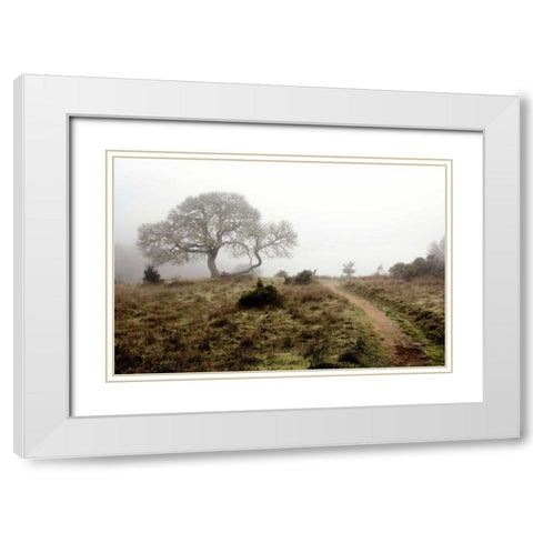 Oak Tree - 25 White Modern Wood Framed Art Print with Double Matting by Blaustein, Alan