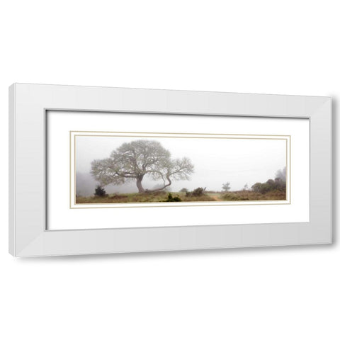 Oak Tree - 24 White Modern Wood Framed Art Print with Double Matting by Blaustein, Alan