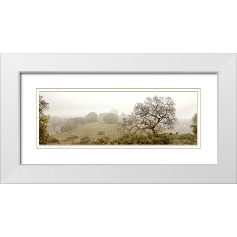 Pano Version 4 White Modern Wood Framed Art Print with Double Matting by Blaustein, Alan