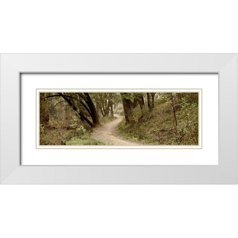 Oak Tree - 50 White Modern Wood Framed Art Print with Double Matting by Blaustein, Alan