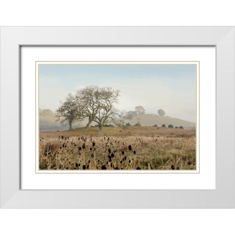 Oak Tree - 68 White Modern Wood Framed Art Print with Double Matting by Blaustein, Alan