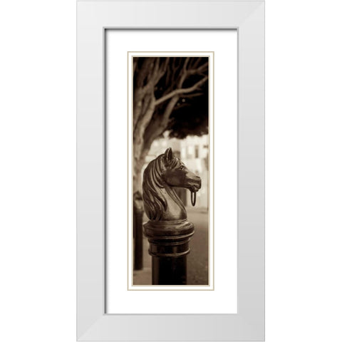 Hitching Post Pano - 2 White Modern Wood Framed Art Print with Double Matting by Blaustein, Alan