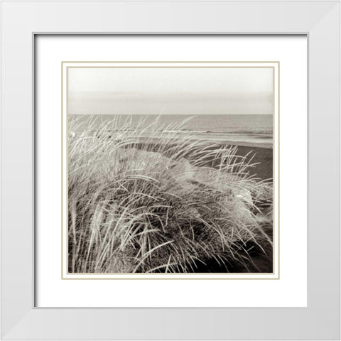 Tuscan Coast Dunes - 3 White Modern Wood Framed Art Print with Double Matting by Blaustein, Alan
