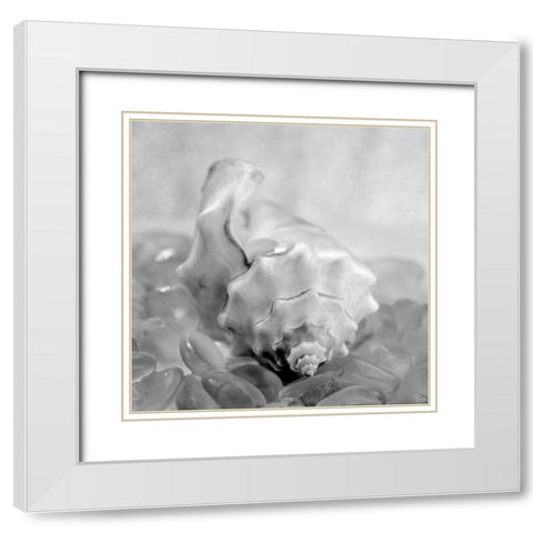 Crystal Cove - 42 White Modern Wood Framed Art Print with Double Matting by Blaustein, Alan