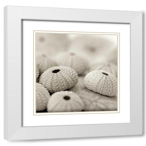 Crystal Harbor - 19 White Modern Wood Framed Art Print with Double Matting by Blaustein, Alan