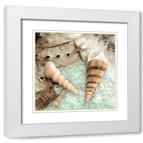 Lagoon Tidepool - 1 White Modern Wood Framed Art Print with Double Matting by Blaustein, Alan