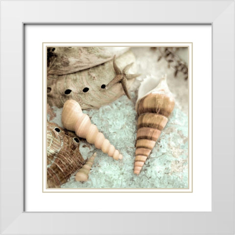 Lagoon Tidepool - 1 White Modern Wood Framed Art Print with Double Matting by Blaustein, Alan