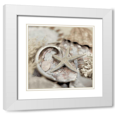 Crystal Harbor - 15 White Modern Wood Framed Art Print with Double Matting by Blaustein, Alan