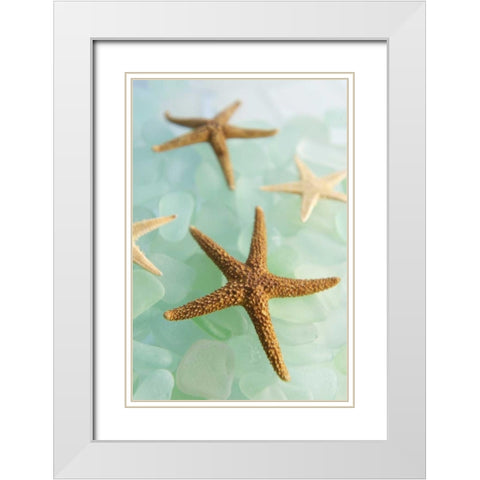 Crystal Cove - 30 White Modern Wood Framed Art Print with Double Matting by Blaustein, Alan