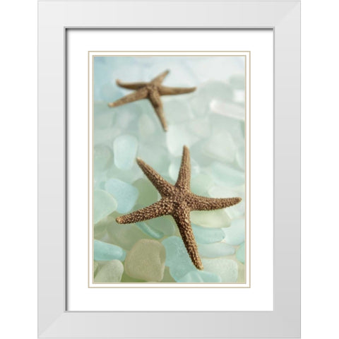 Crystal harbor - 33 White Modern Wood Framed Art Print with Double Matting by Blaustein, Alan