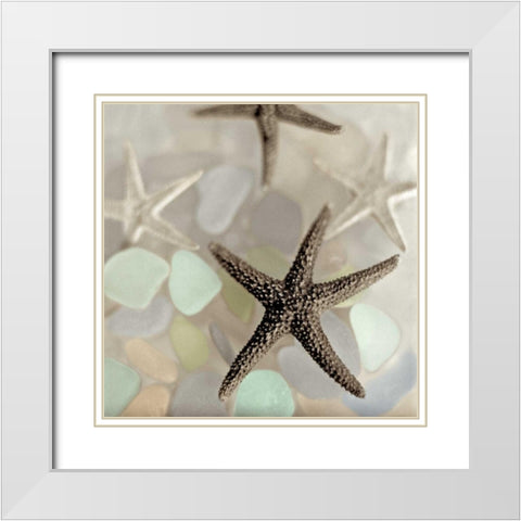 Crystal Harbor - 13 White Modern Wood Framed Art Print with Double Matting by Blaustein, Alan