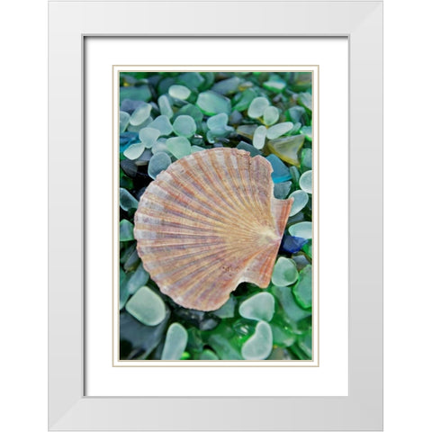 Crystal Cove - 25 White Modern Wood Framed Art Print with Double Matting by Blaustein, Alan