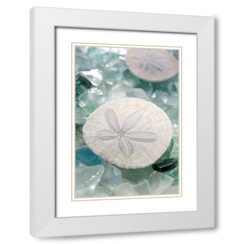 Crystal Cove - 29 White Modern Wood Framed Art Print with Double Matting by Blaustein, Alan