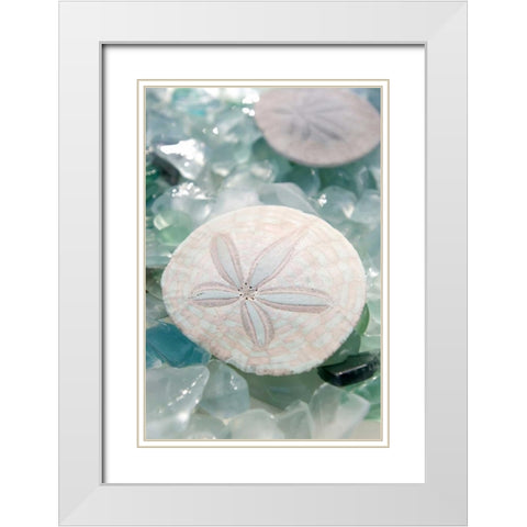 Crystal Cove - 29 White Modern Wood Framed Art Print with Double Matting by Blaustein, Alan