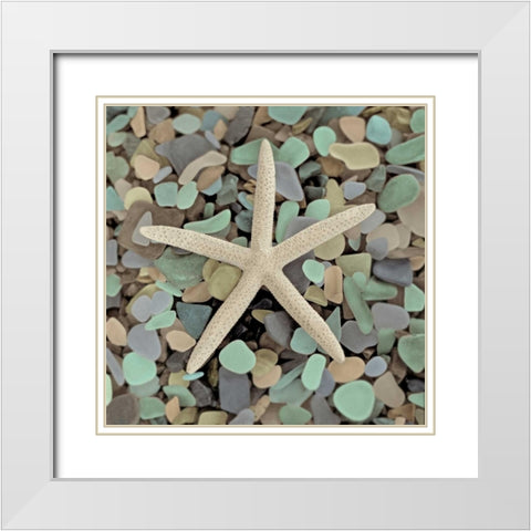 Crystal Harbor - 10 White Modern Wood Framed Art Print with Double Matting by Blaustein, Alan