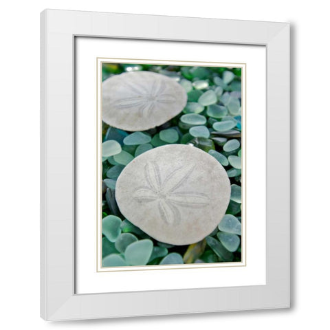 Crystal Harbor - 22 White Modern Wood Framed Art Print with Double Matting by Blaustein, Alan