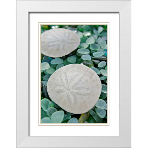 Crystal Harbor - 22 White Modern Wood Framed Art Print with Double Matting by Blaustein, Alan