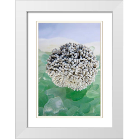 Crystal Harbor - 34 White Modern Wood Framed Art Print with Double Matting by Blaustein, Alan