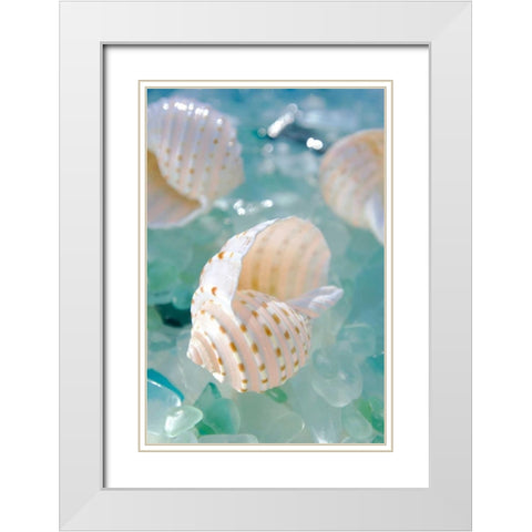 Crystal Cove - 24 White Modern Wood Framed Art Print with Double Matting by Blaustein, Alan