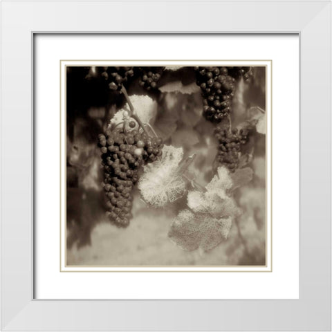 Grapes Sepia - 40A White Modern Wood Framed Art Print with Double Matting by Blaustein, Alan