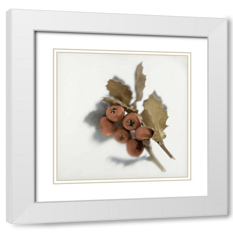 Holiday - 6 White Modern Wood Framed Art Print with Double Matting by Blaustein, Alan