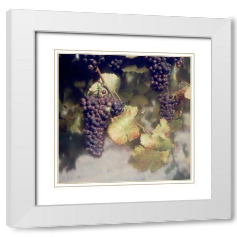 Grapes Color - 40 White Modern Wood Framed Art Print with Double Matting by Blaustein, Alan