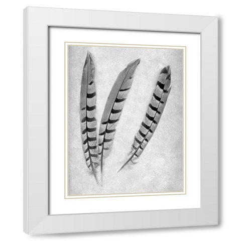 Feathers B-W - 1 White Modern Wood Framed Art Print with Double Matting by Blaustein, Alan