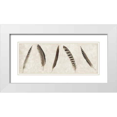 Feathers Panel - 1 White Modern Wood Framed Art Print with Double Matting by Blaustein, Alan