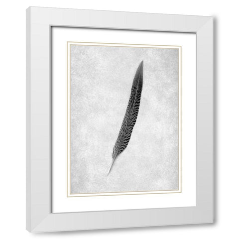 Feathers - 4 White Modern Wood Framed Art Print with Double Matting by Blaustein, Alan