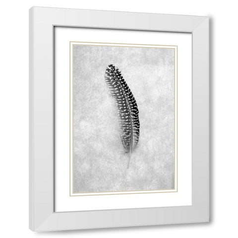 Feathers - 5 White Modern Wood Framed Art Print with Double Matting by Blaustein, Alan