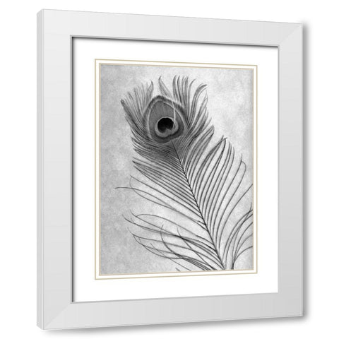 Feathers - 10 White Modern Wood Framed Art Print with Double Matting by Blaustein, Alan