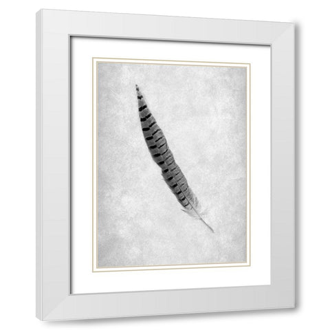 Feathers - 8 White Modern Wood Framed Art Print with Double Matting by Blaustein, Alan