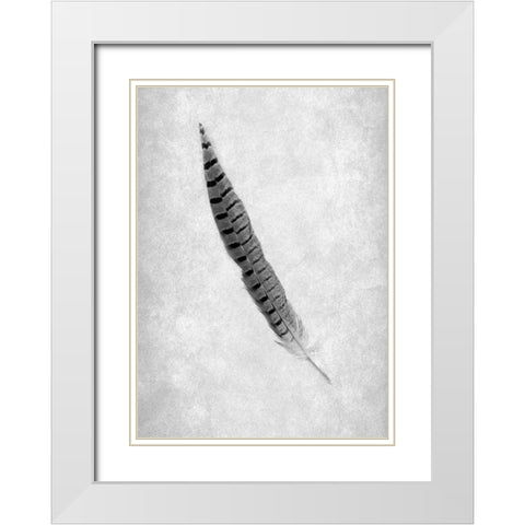 Feathers - 8 White Modern Wood Framed Art Print with Double Matting by Blaustein, Alan
